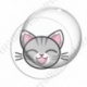 Image digitale - Chat tigré yeux fermés et fond blanc