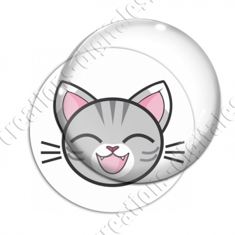 Image digitale - Chat tigré yeux fermés et fond blanc