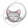 Image digitale - Chat tigré yeux fermés et fond blanc