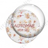Image digitale - Automne 08