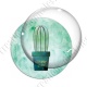 Image digitale - Cactus 02