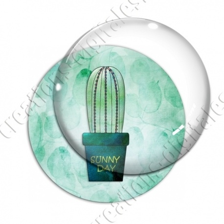 Image digitale - Cactus 02