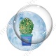 Image digitale - Cactus 03
