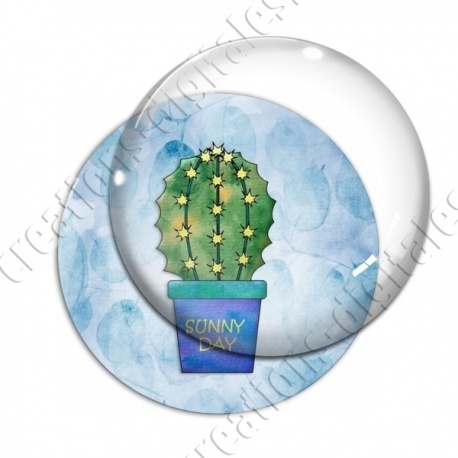Image digitale - Cactus 03