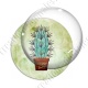 Image digitale - Cactus 04