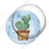 Image digitale - Cactus 05