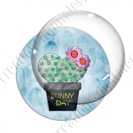 Image digitale - Cactus 06
