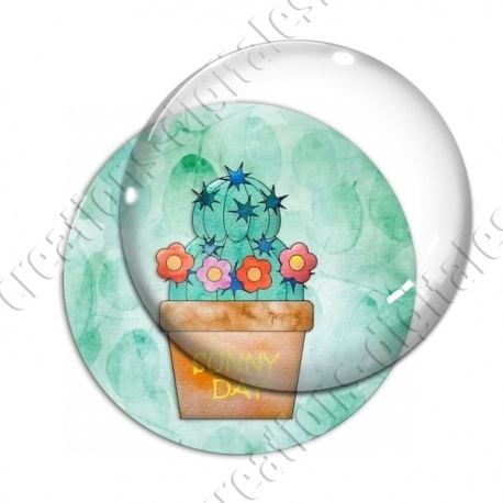 Image digitale - Cactus 07