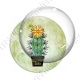 Image digitale - Cactus 08