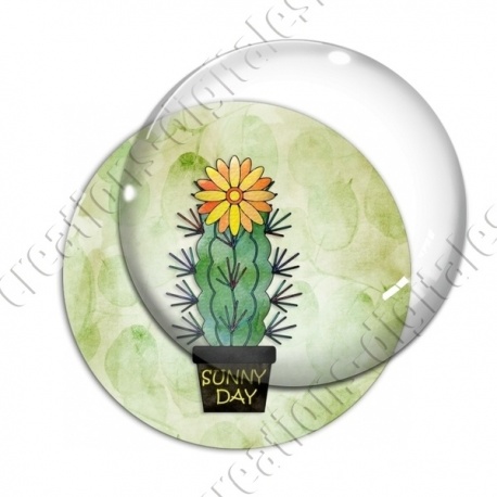Image digitale - Cactus 08