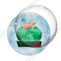 Image digitale - Cactus 10