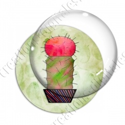 Image digitale - Cactus 11