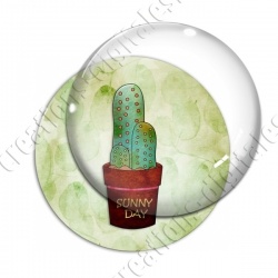 Image digitale - Cactus 12