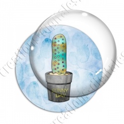 Image digitale - Cactus 13