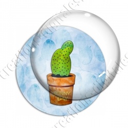 Image digitale - Cactus 14
