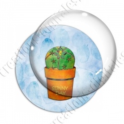 Image digitale - Cactus 15