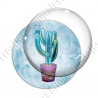 Image digitale - Cactus 16