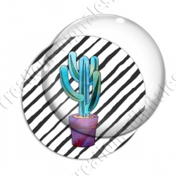 Image digitale - Cactus 17