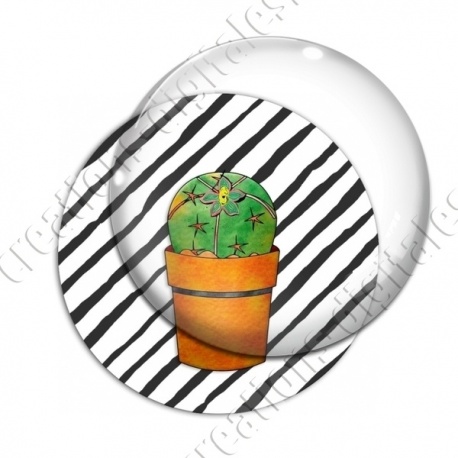 Image digitale - Cactus 18