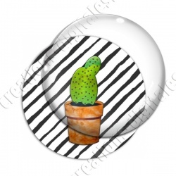 Image digitale - Cactus 19