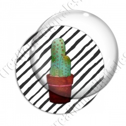 Image digitale - Cactus 21
