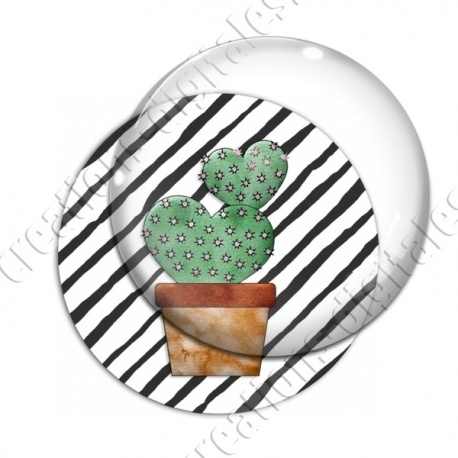 Image digitale - Cactus 28