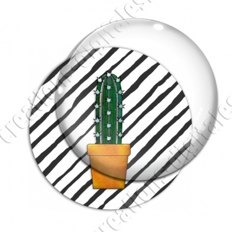 Image digitale - Cactus 30
