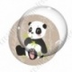 Image digitale - Panda assis qui mange  - fond bambou marron