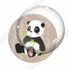 Image digitale - Panda assis qui mange  - fond bambou marron