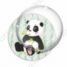 Image digitale - Panda assis qui mange  - fond bambou vert