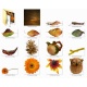 CU Automne 02