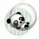 Image digitale - Panda allongé sur le dos - fond bambou vert