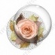 Image digitale - Montage fleur rose et fond fleuri