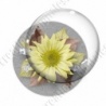 Image digitale - Montage fleur jaune et fond gris