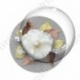 Image digitale - Montage fleur blanc et fond gris