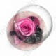 Image digitale - Montage fleur rose et ruban à pois