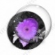 Image digitale - Montage fleur violet et ruban à pois