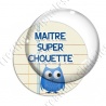 Image digitale - Maitre chouette