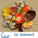 CU Automne 03