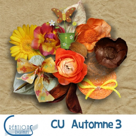 CU Automne 03