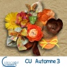 CU Automne 03