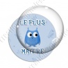 Image digitale - Le plus chouette maitre