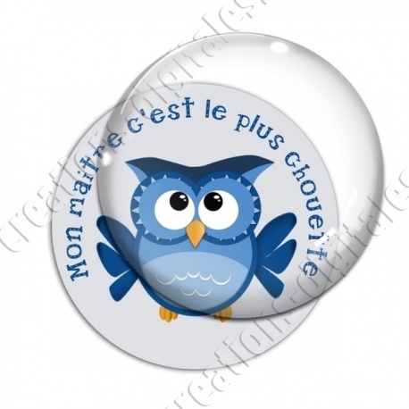 Image digitale - Mon maitre c'est le plus chouette