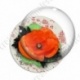 Image digitale - Coquelicot et feuillage 01
