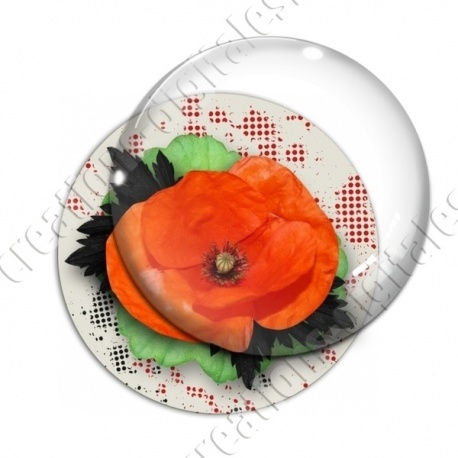 Image digitale - Coquelicot et feuillage 01