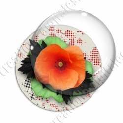 Image digitale - Coquelicot et feuillage 02
