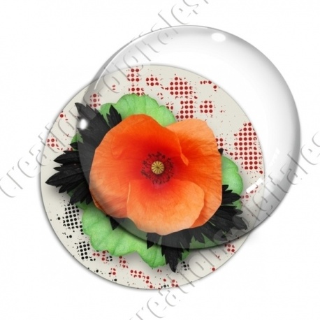 Image digitale - Coquelicot et feuillage 02