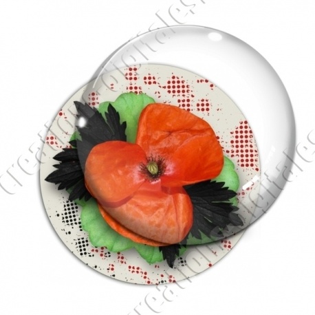 Image digitale - Coquelicot et feuillage 03