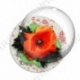 Image digitale - Coquelicot et feuillage 04