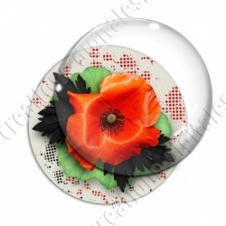 Image digitale - Coquelicot et feuillage 04